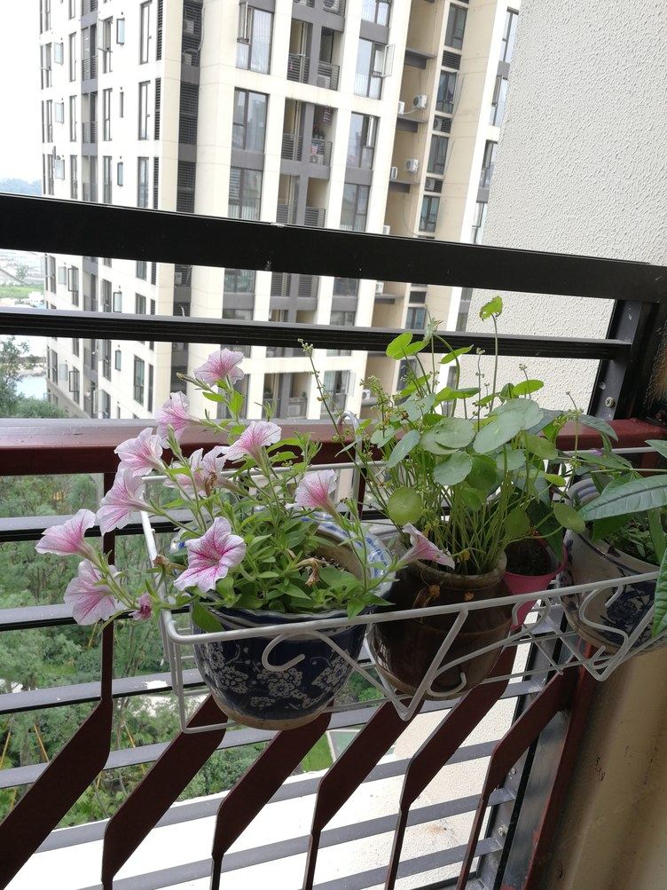 重庆时光里的燕窝住宿