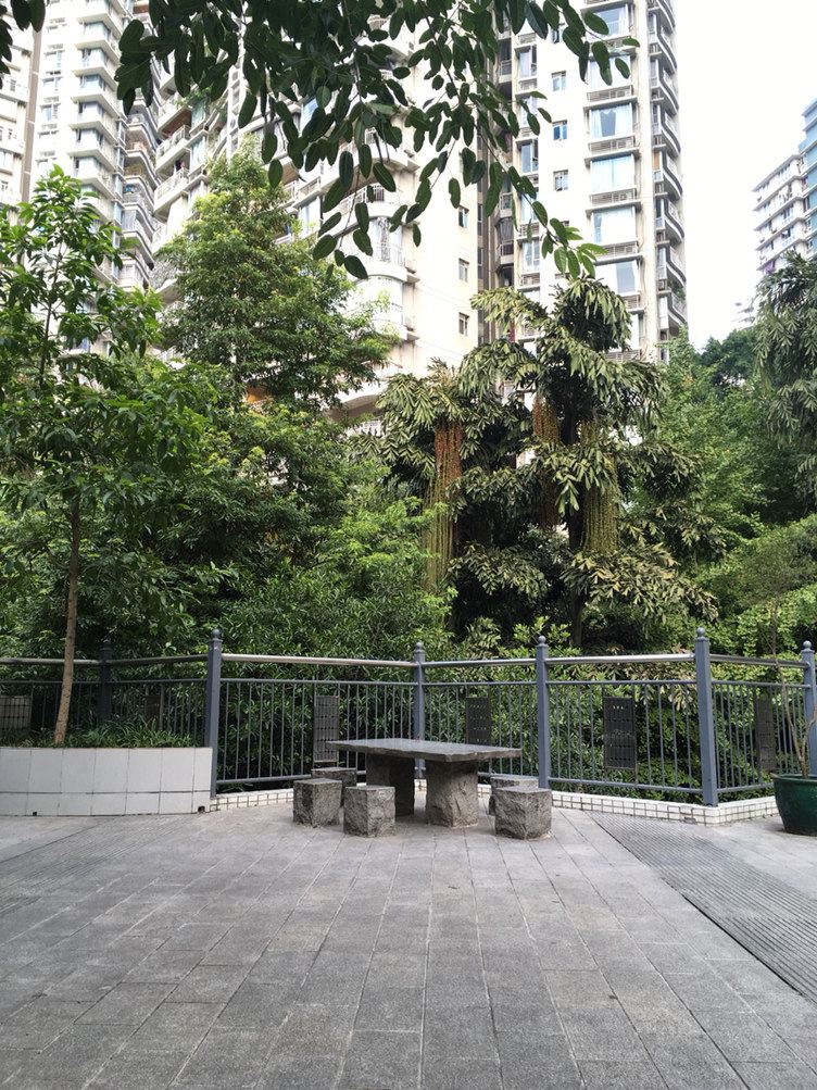 重庆vannesa普通公寓
