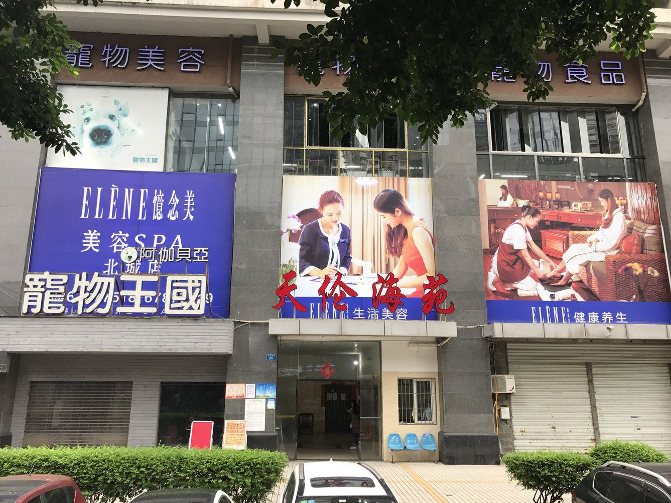 外观