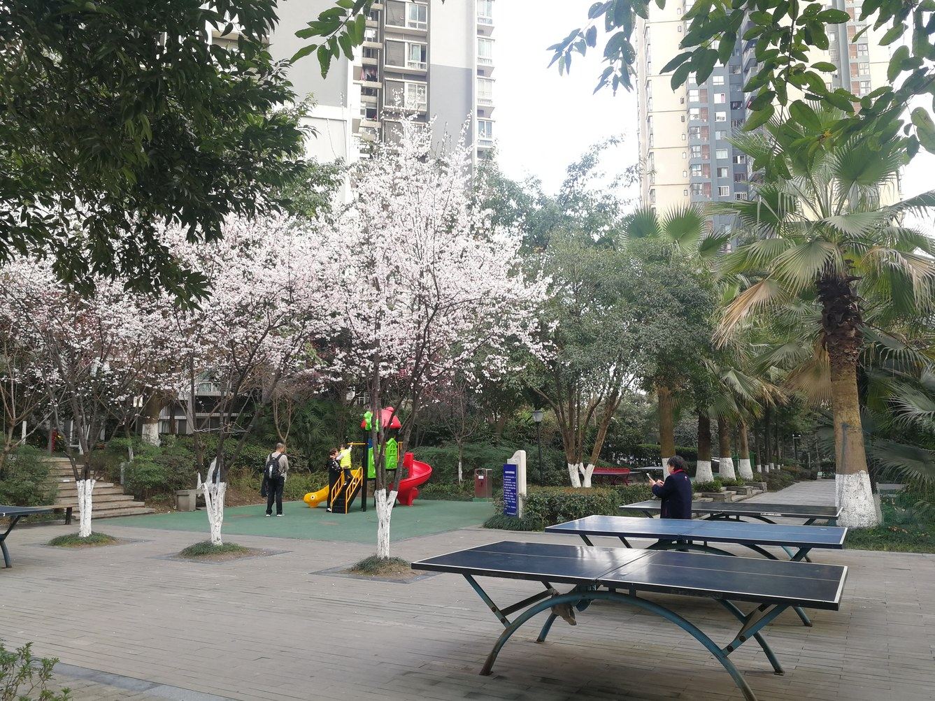 重庆孙静科普通公寓