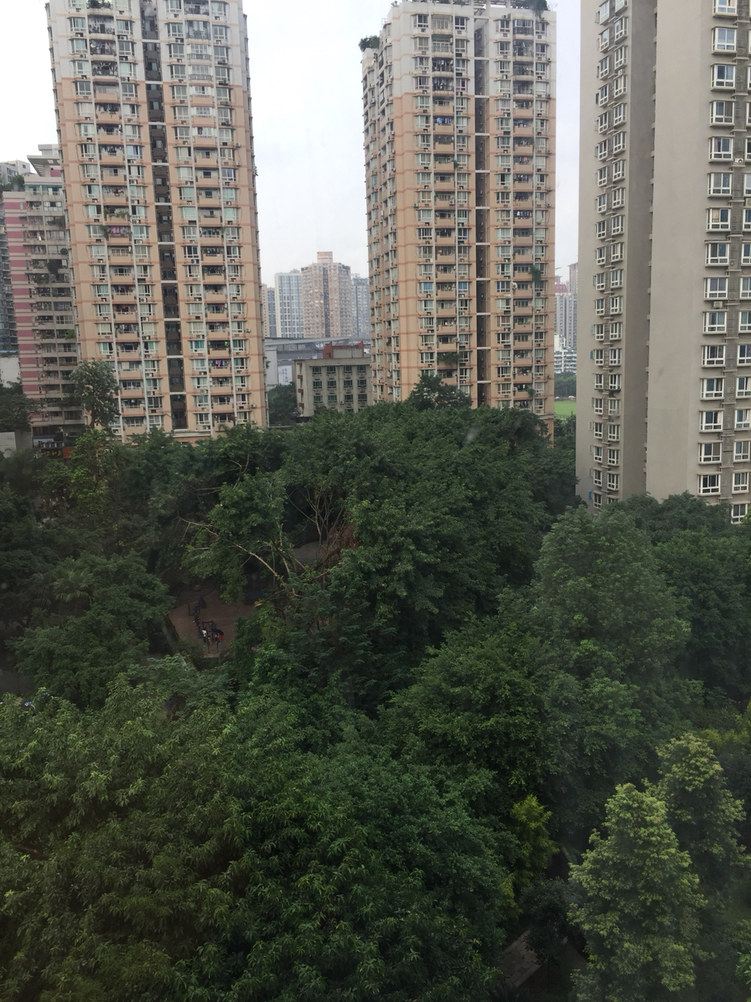 重庆森林民宿