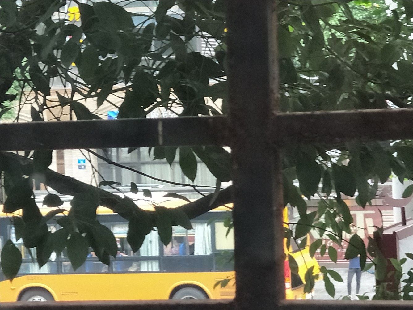 重庆世纪阳光小区房公寓(塔山东街与迎宾东路交叉口分店)