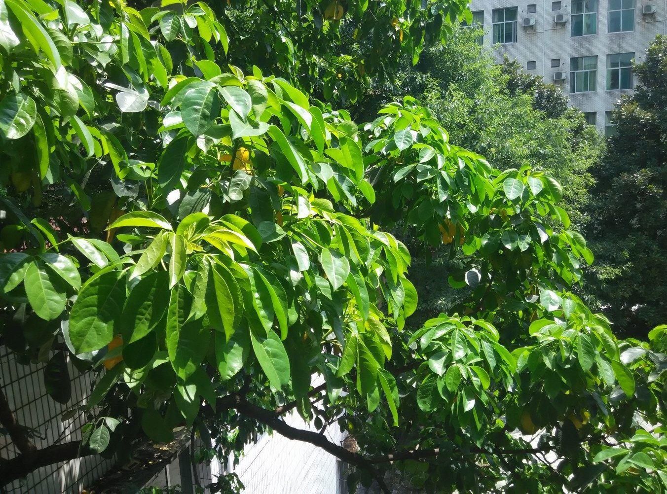 重庆党校之家公寓