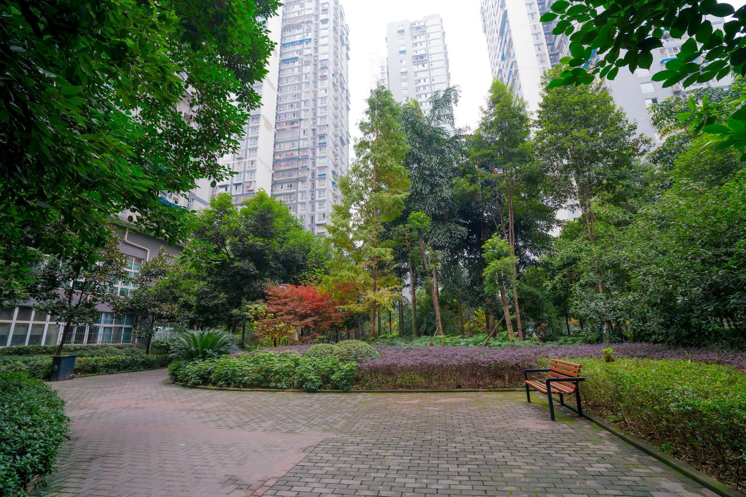 重庆请叫我菜菜普通公寓(化龙桥正街店)