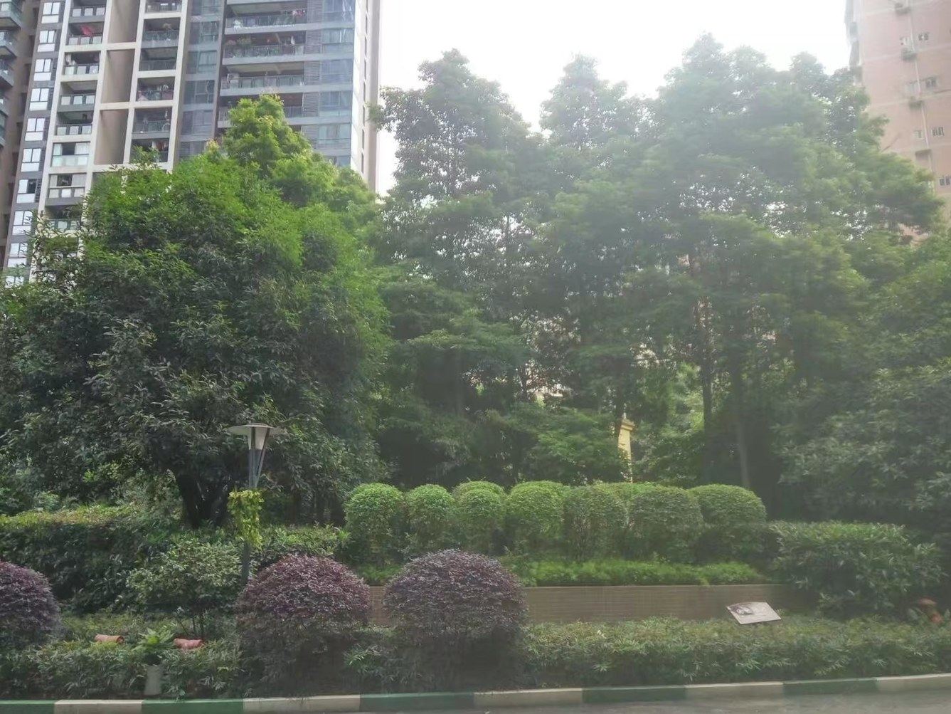 重庆温馨大床房普通公寓