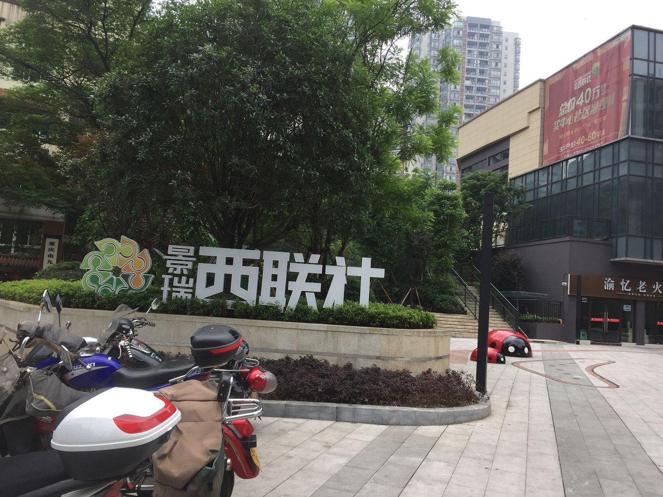 外观
