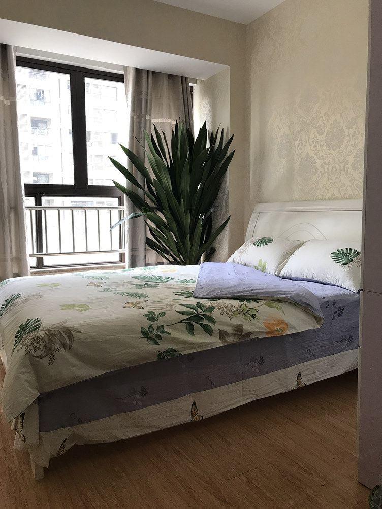 自然一室一厅套房