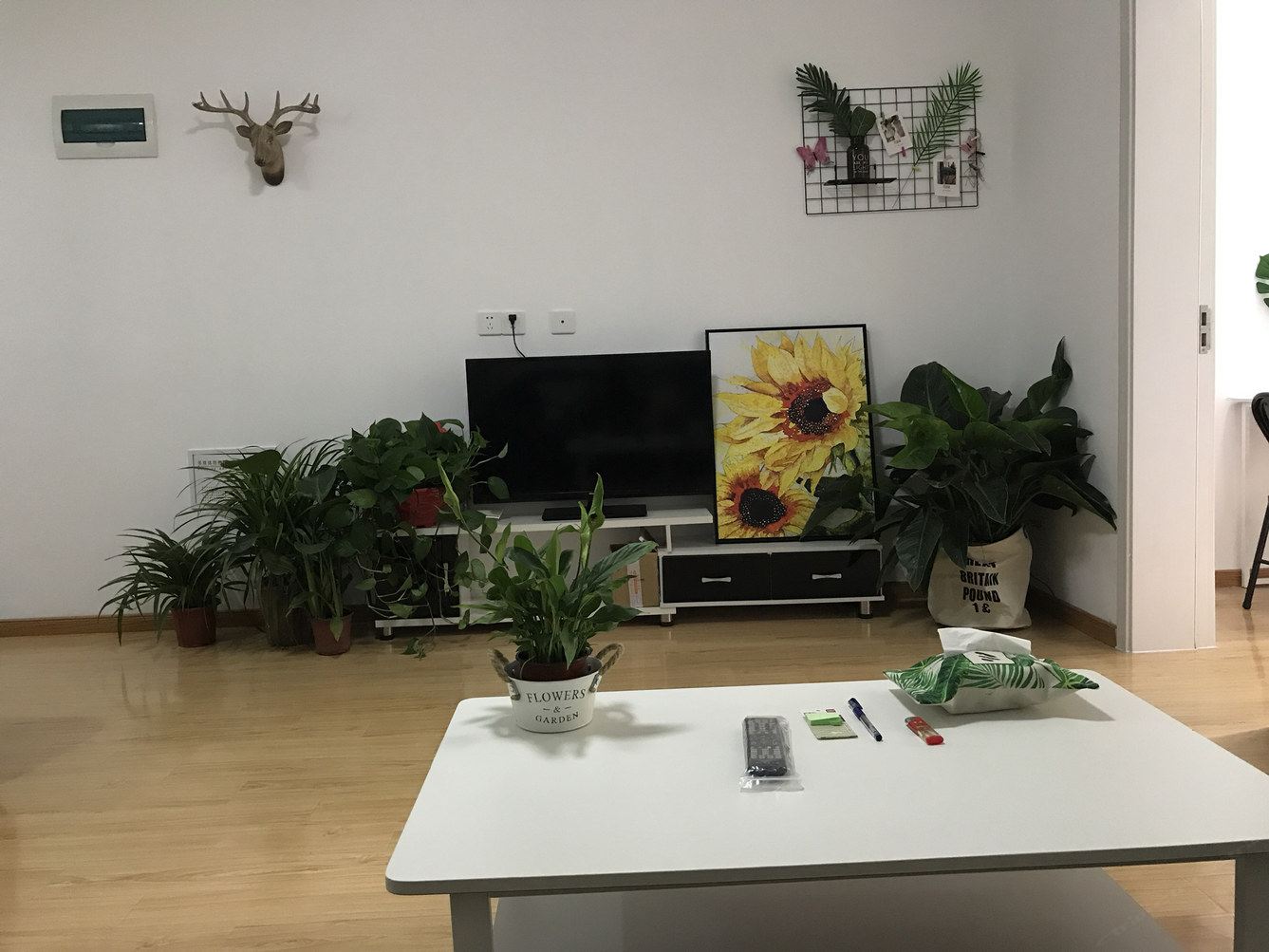 自然一室一厅套房