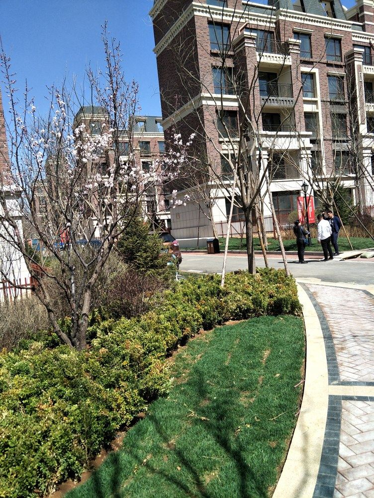大连优山美地观海洋房公寓(下方明德佛分店)