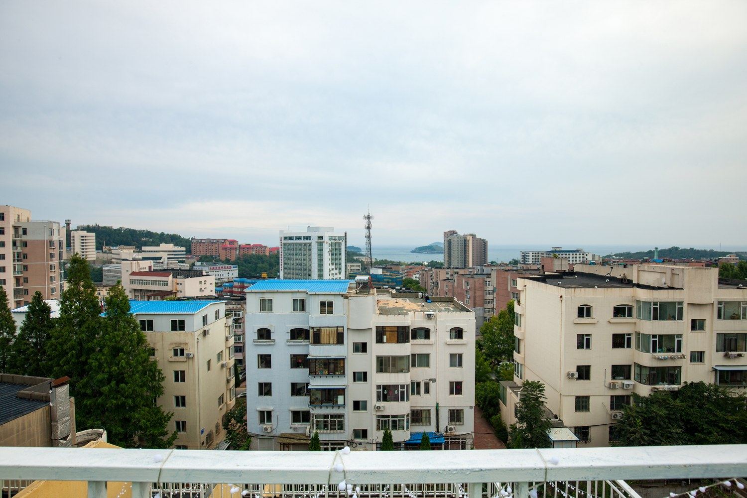 其他