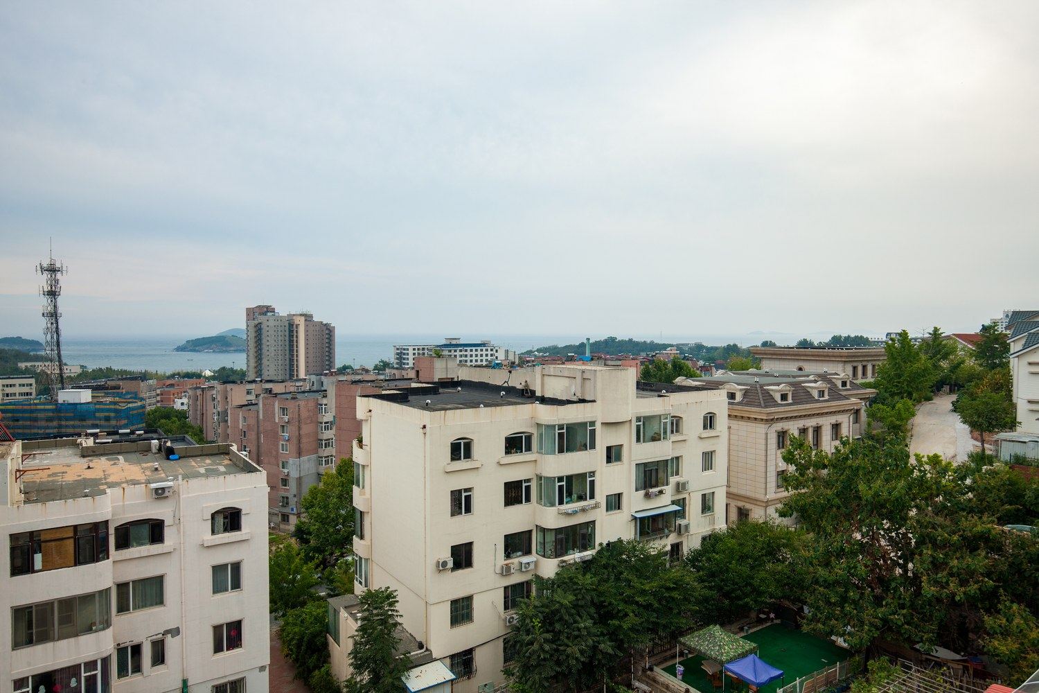 其他
