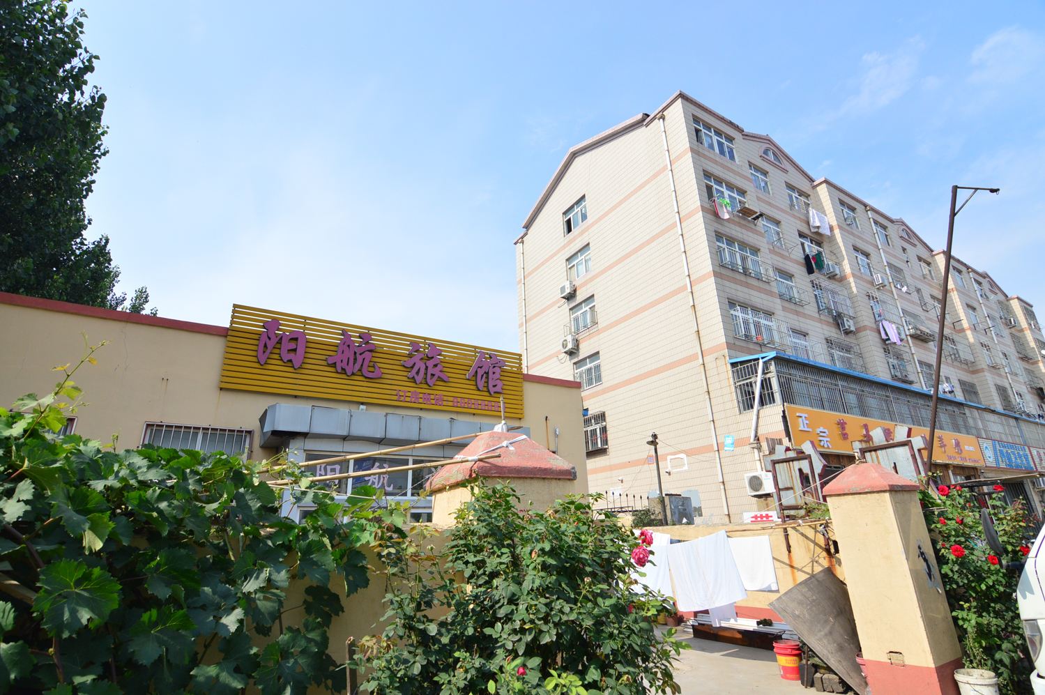 青岛阳航旅馆
