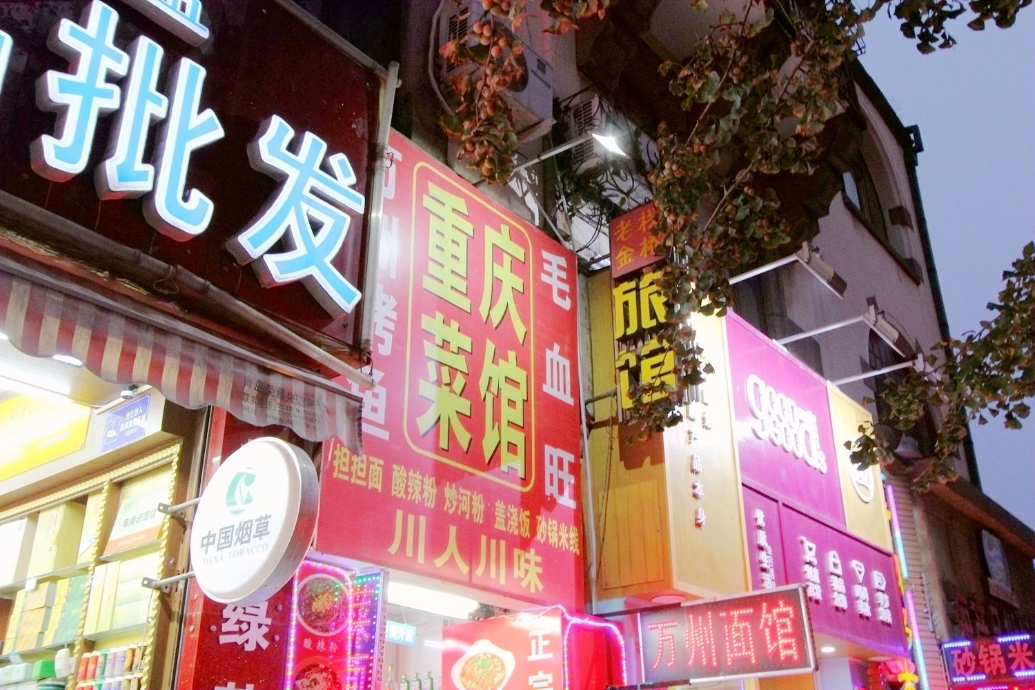 外观