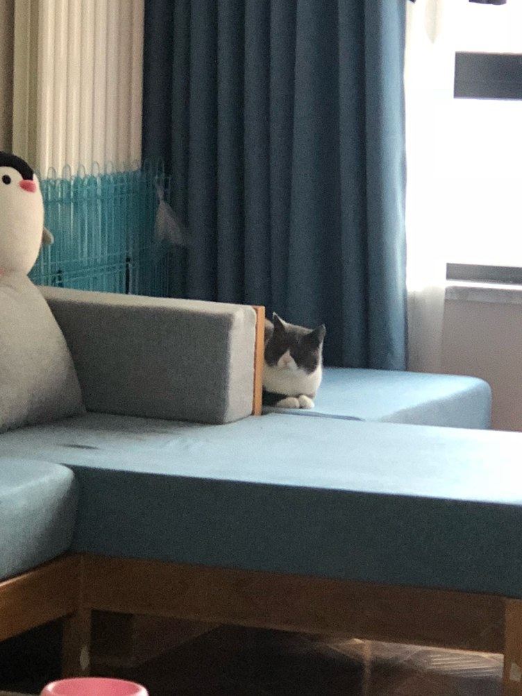 精装二室一厅套房