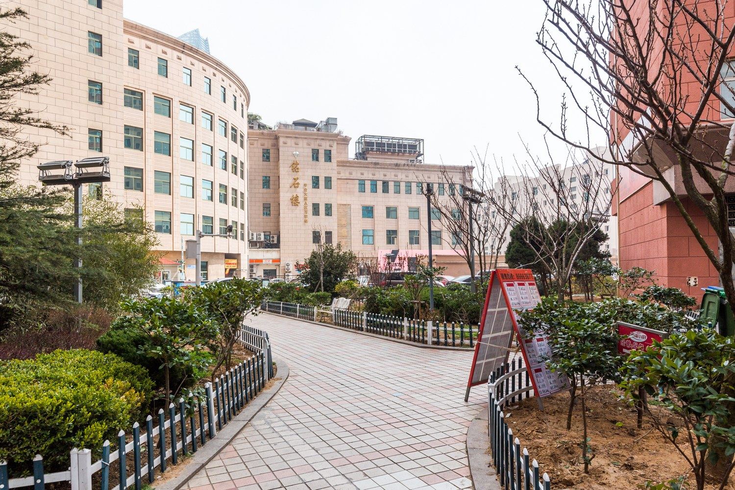 青岛海豚之家舒适民宿