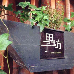 活动模块 