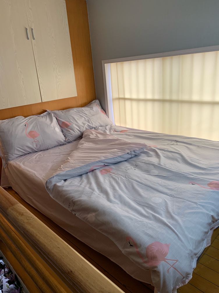 北欧风情一室一厅套房