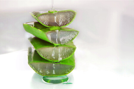 food_picture