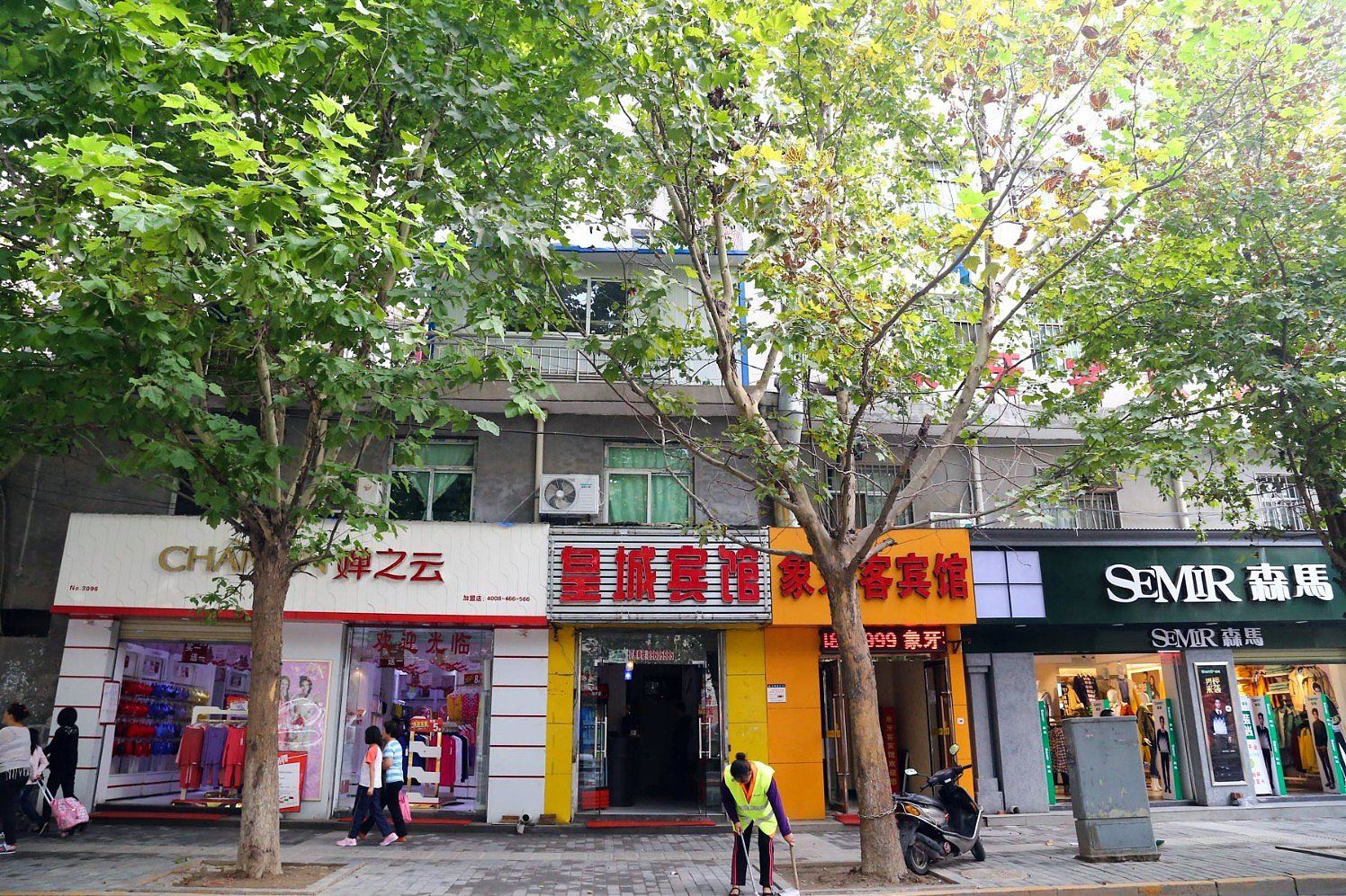 外观