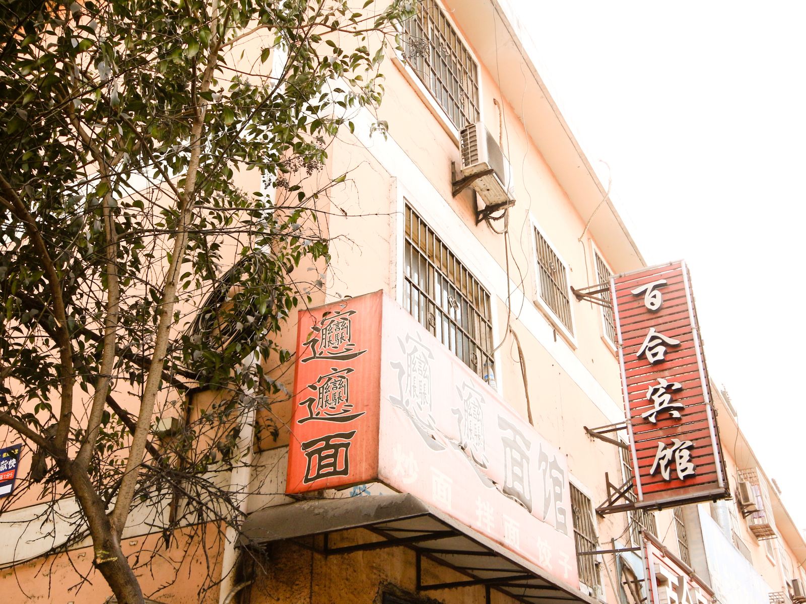 西安丽都宾馆(原金百合宾馆付村花园店)