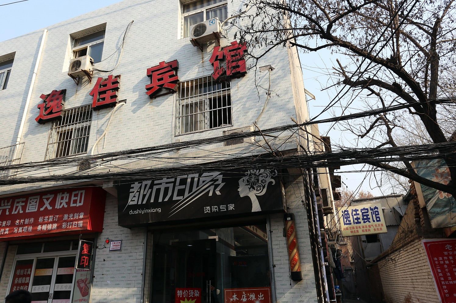 外观