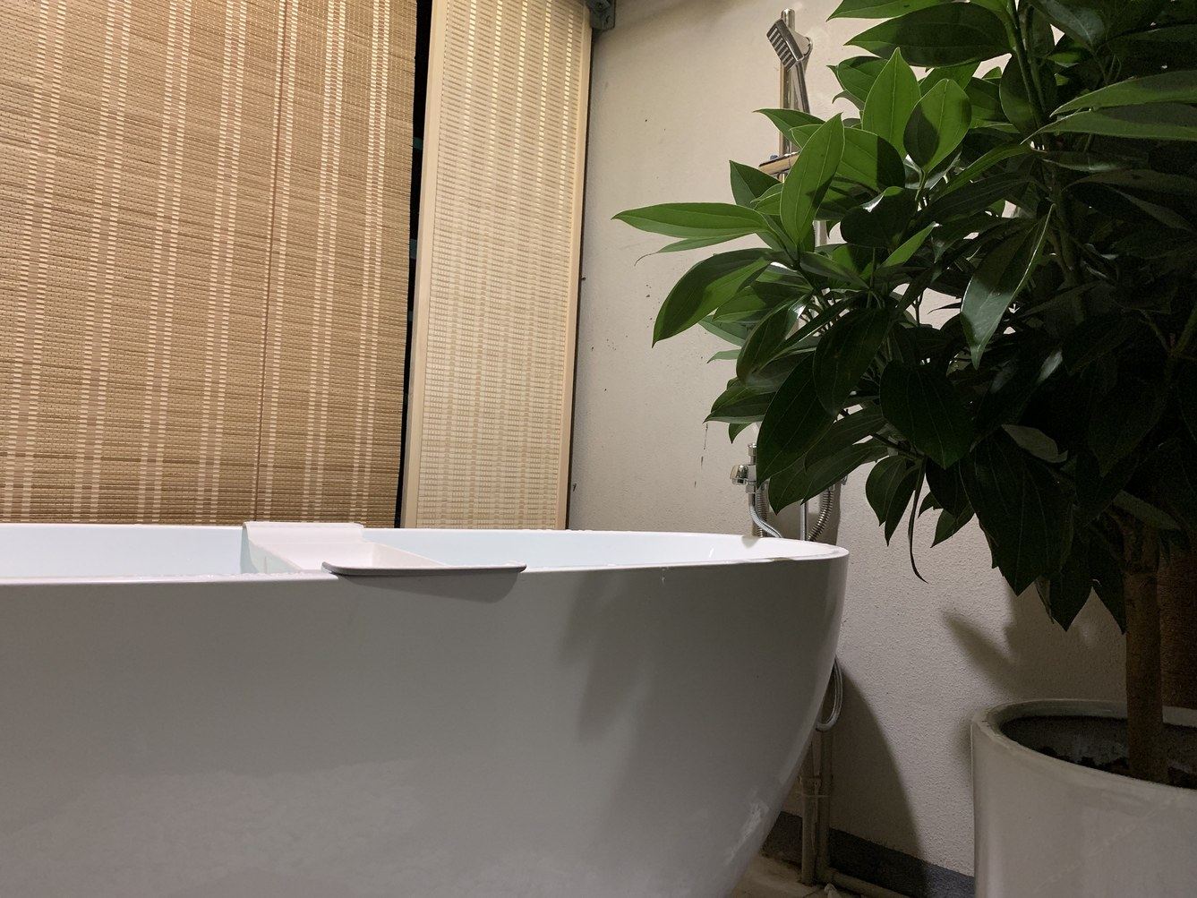 榻榻米一室一厅套房