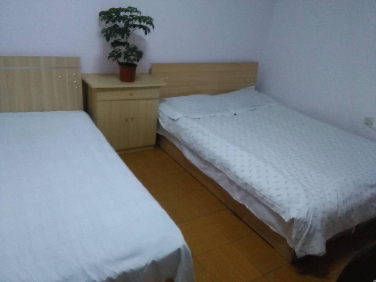 标准三人间