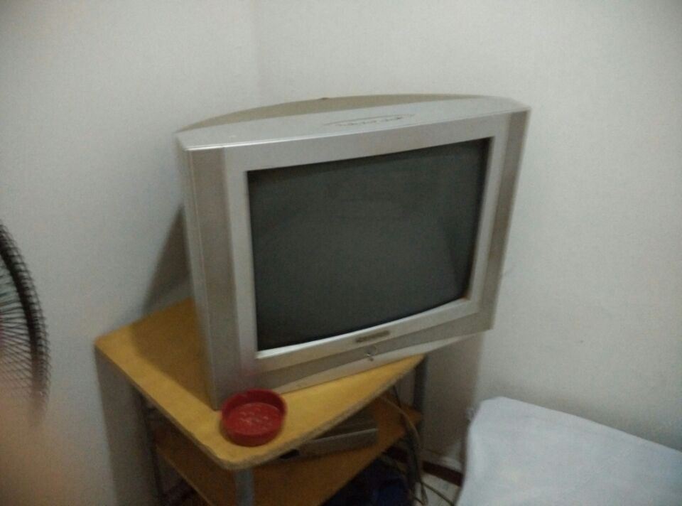 普通大床房