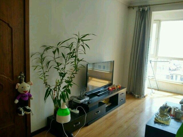一室一厅套房