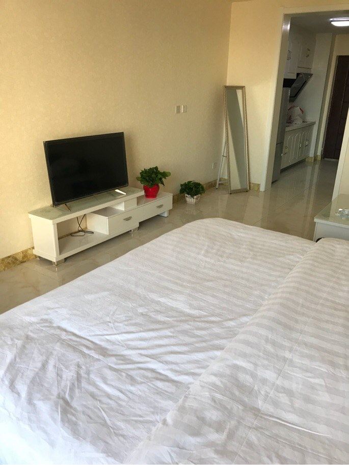 标准一室一厅套房