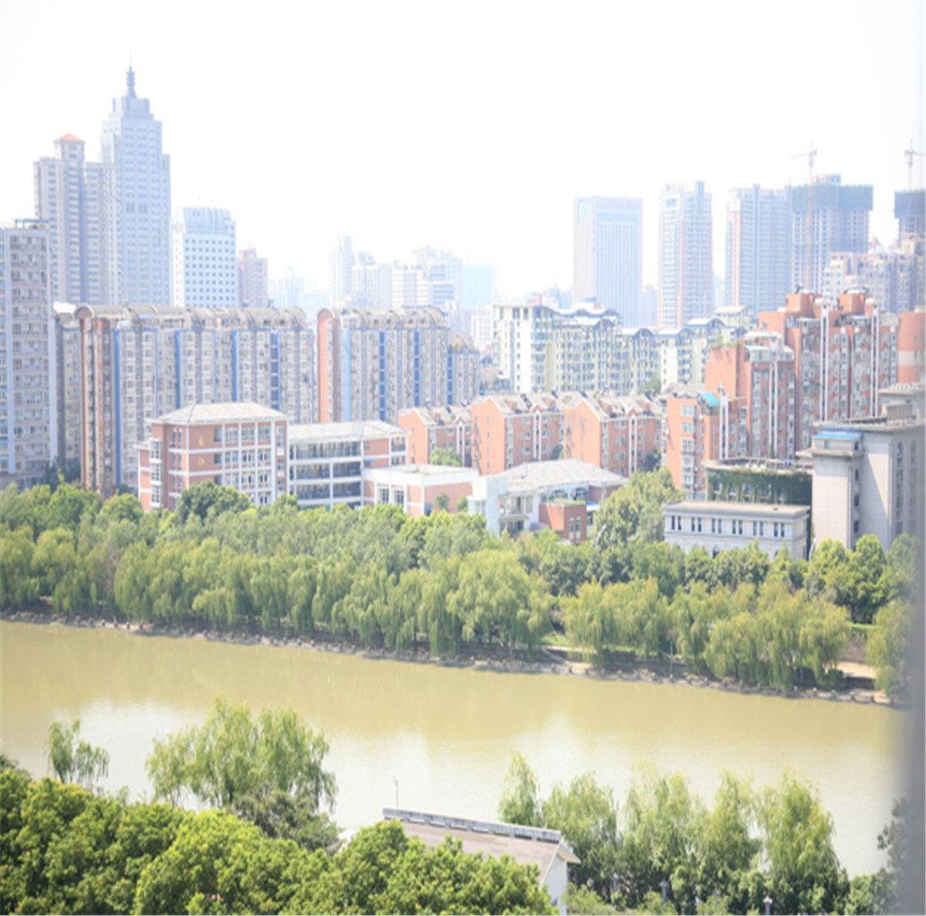 南京南艺后街丽晶酒店式公寓