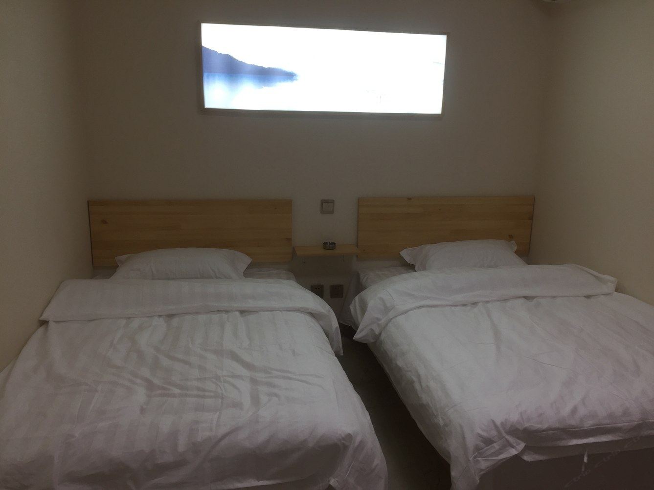 一室单床房