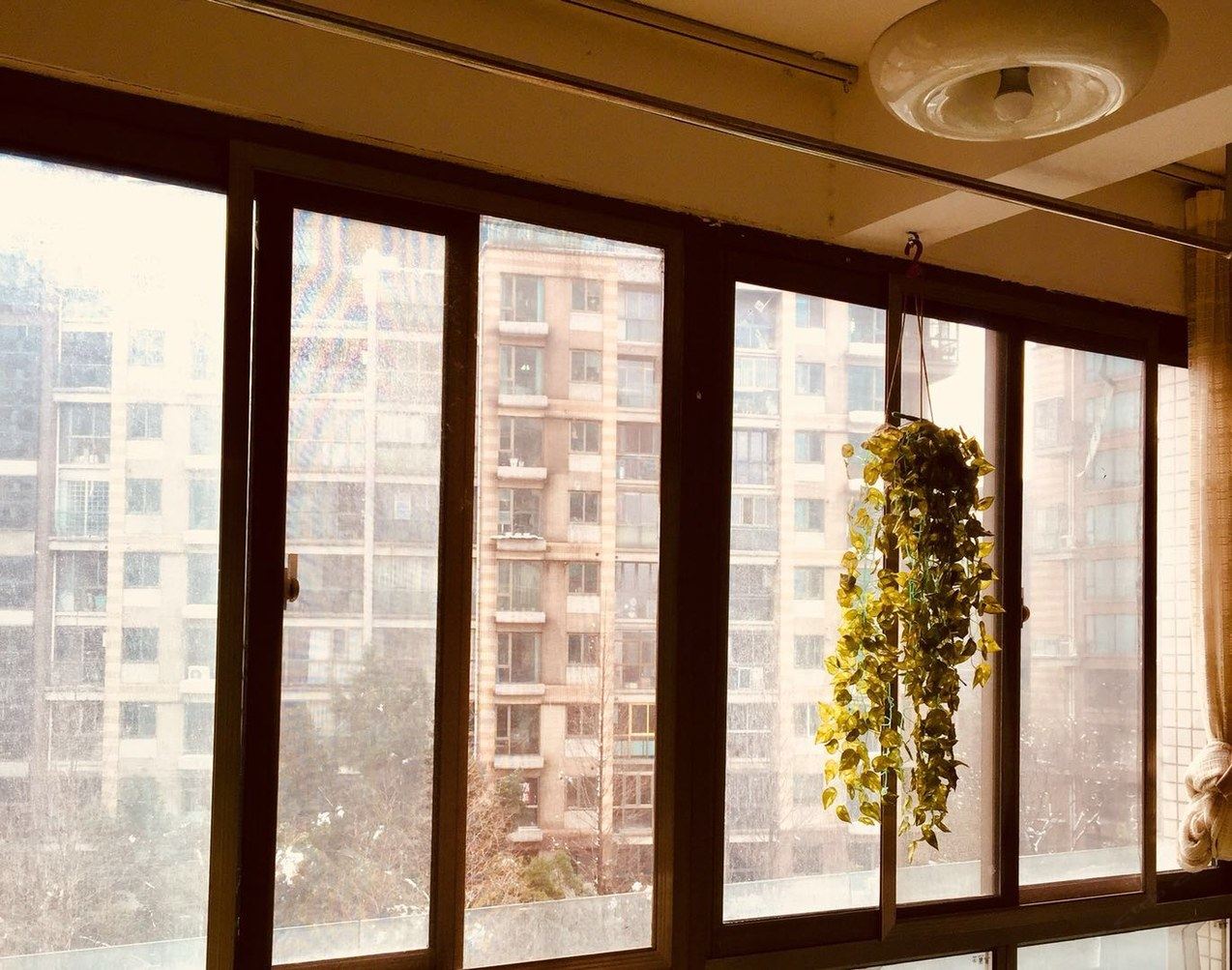 南京山林氧吧公寓(2号店)