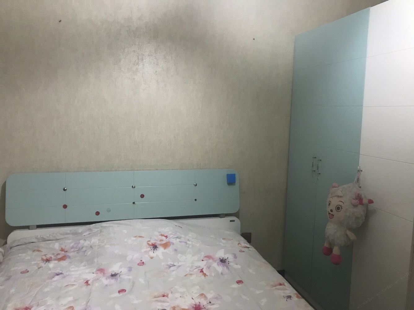 一室一厅套房