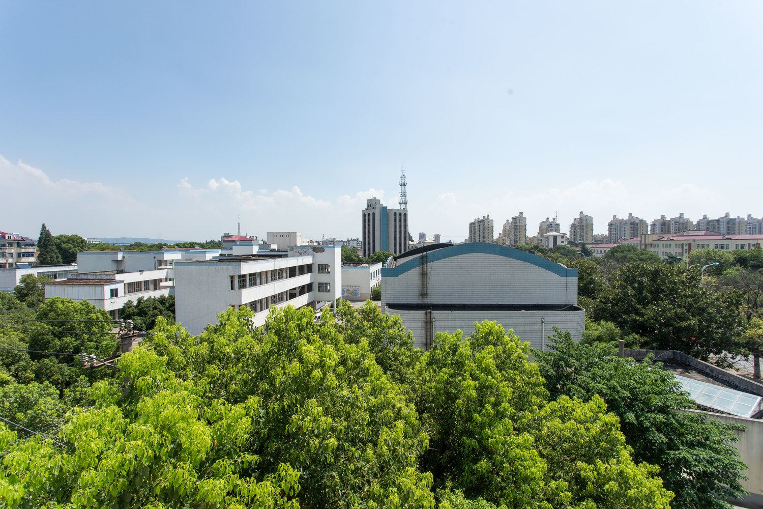 大美古竹公寓NO.2