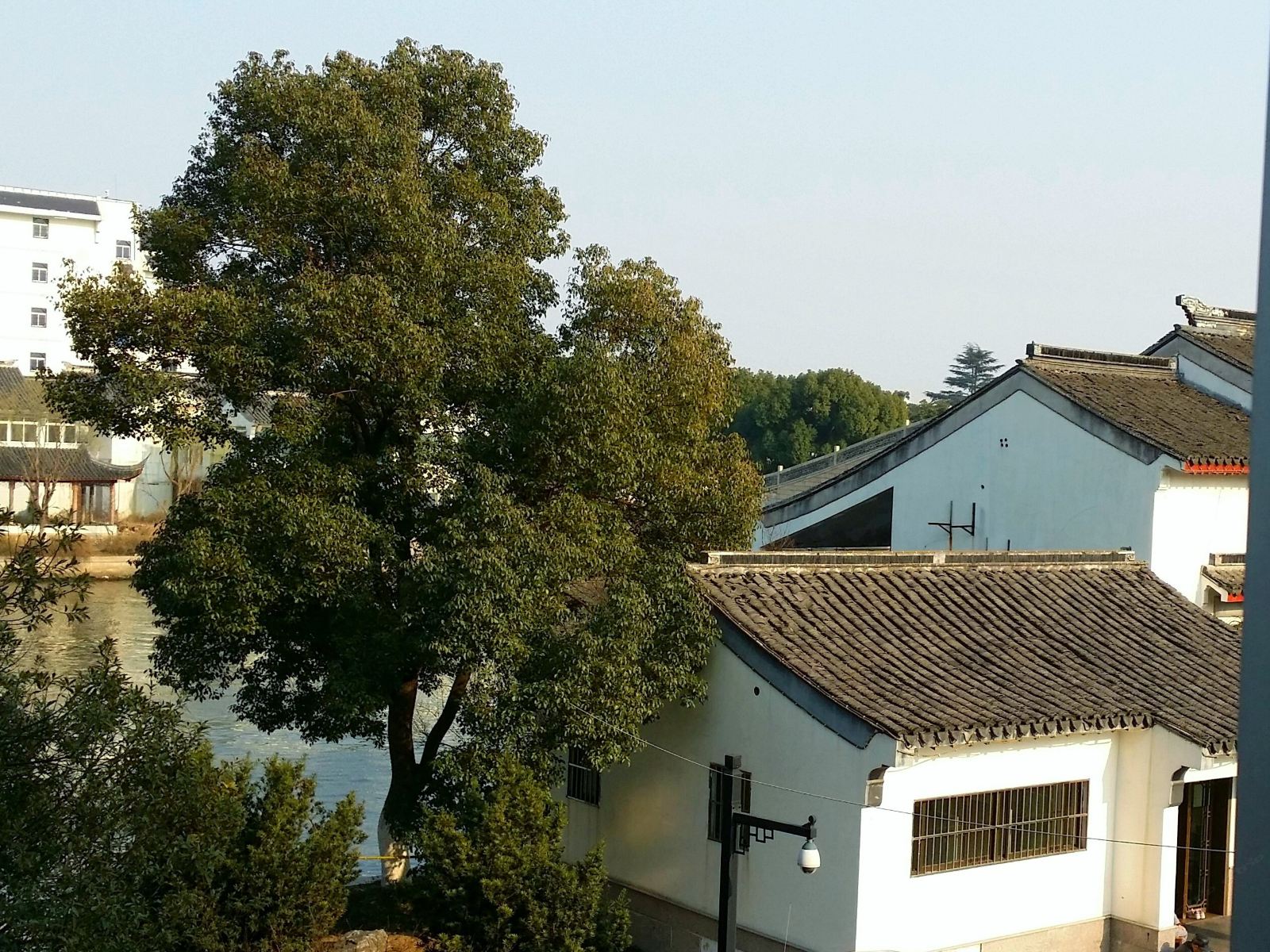 苏州游子驿站青年旅社