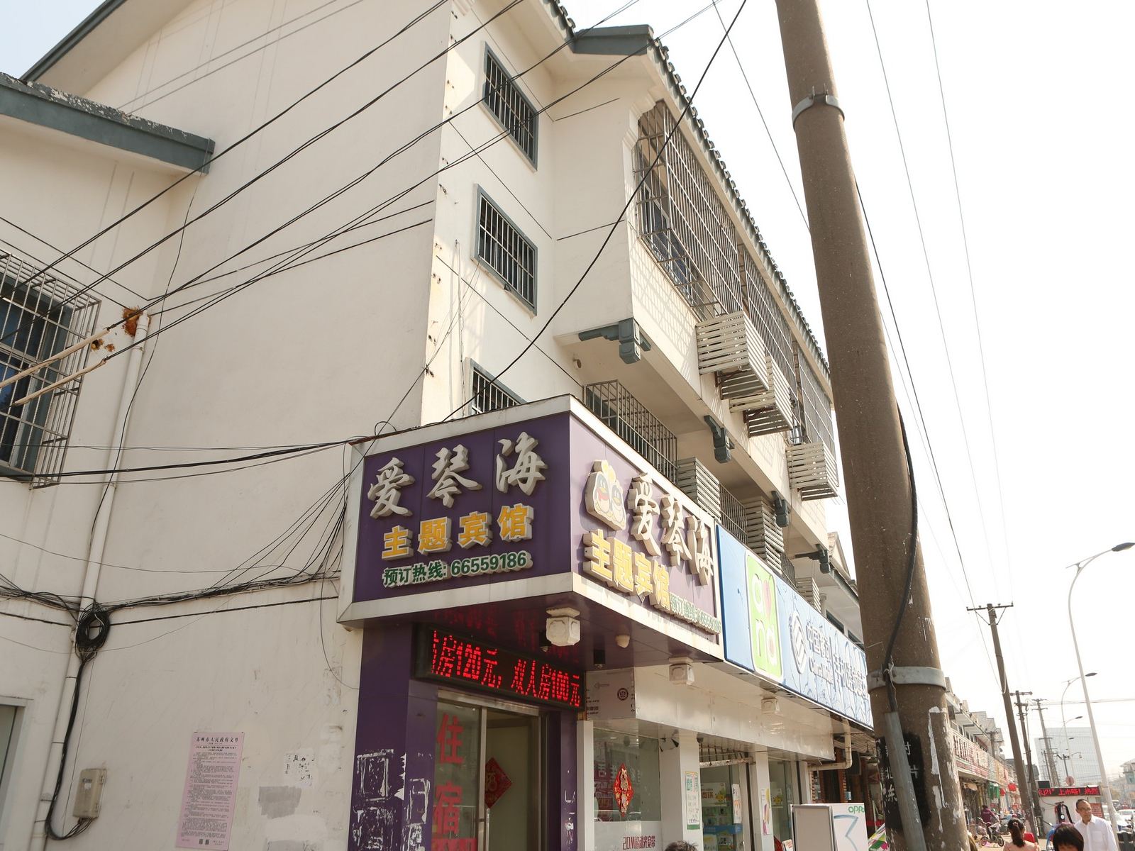 外观