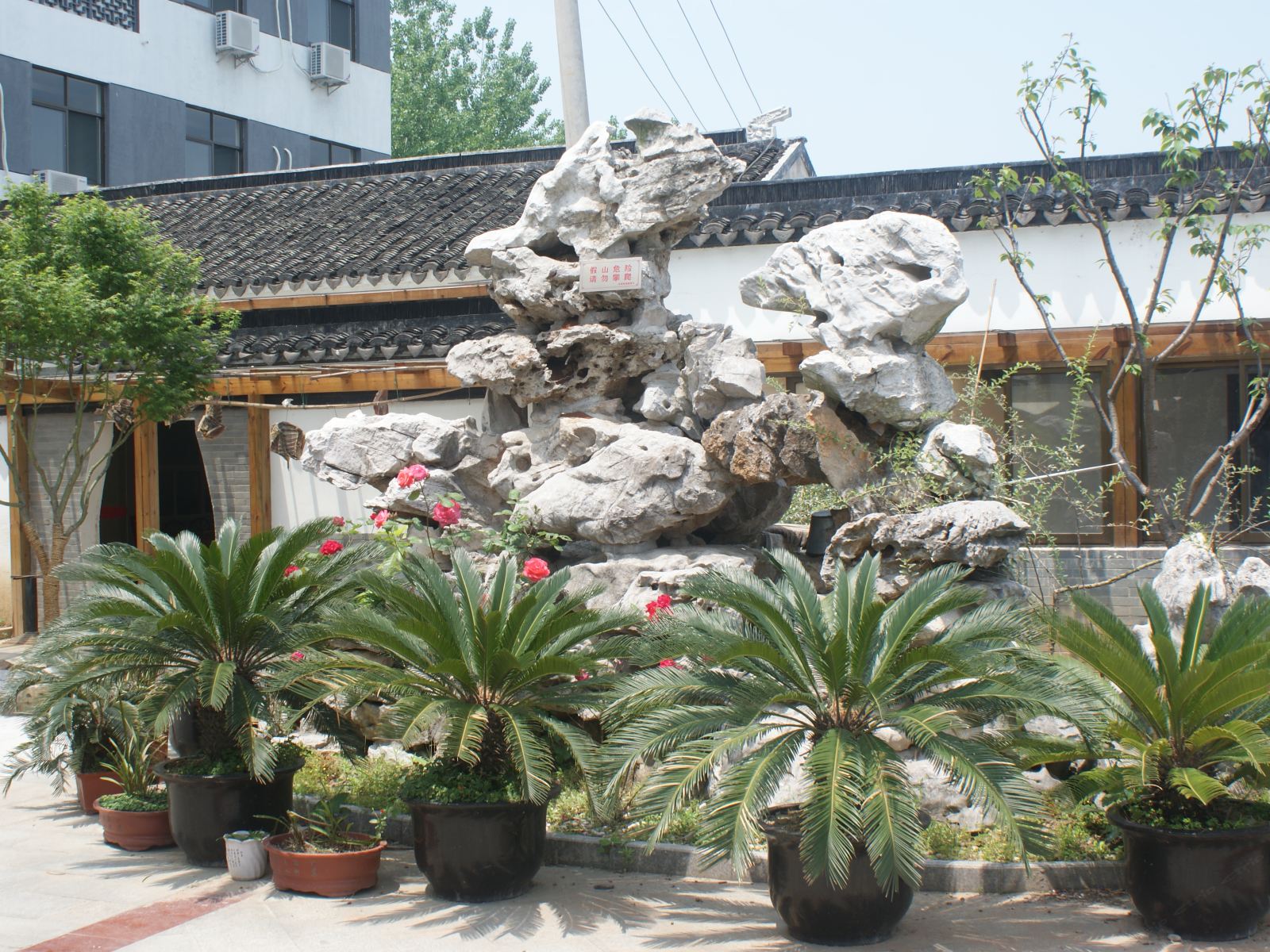 公共区域
