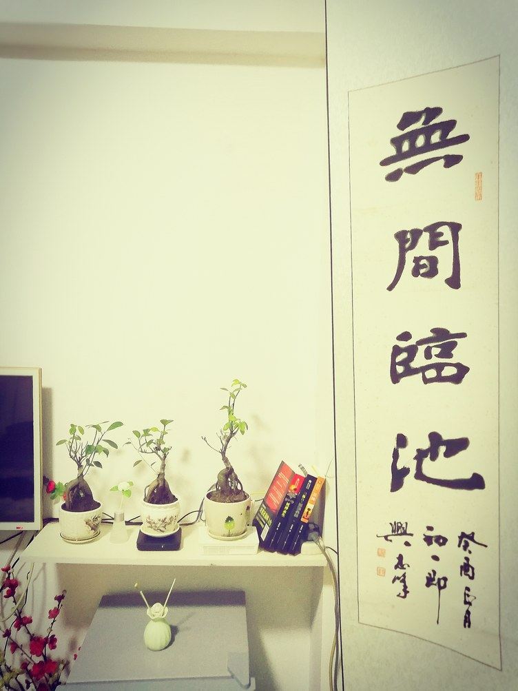 一室大床房