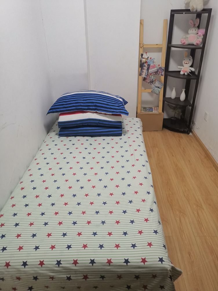 复式二室三厅套房