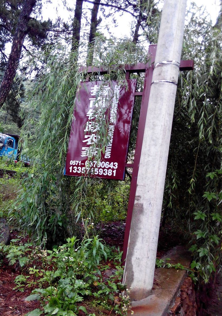 其他