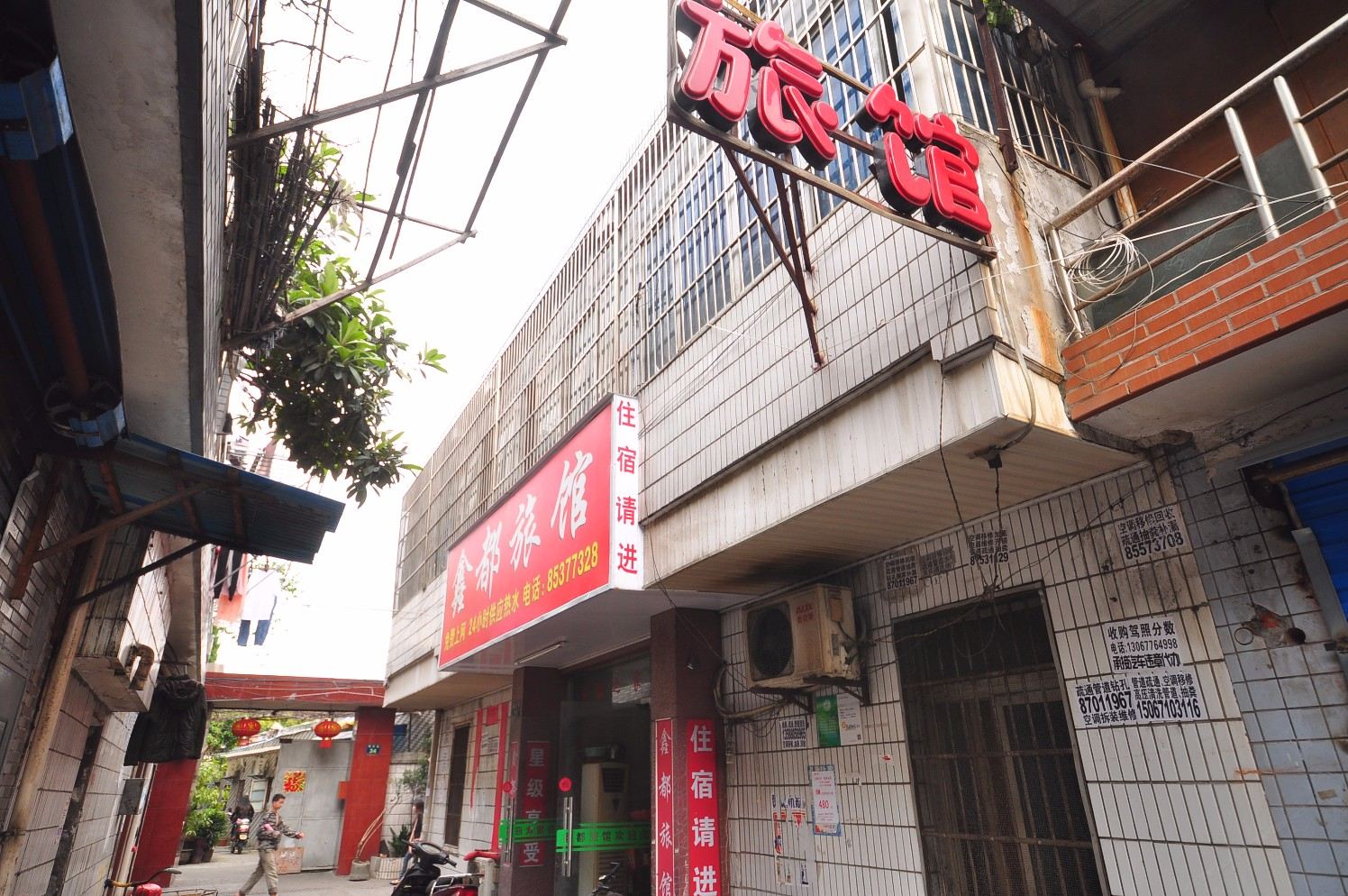 外观