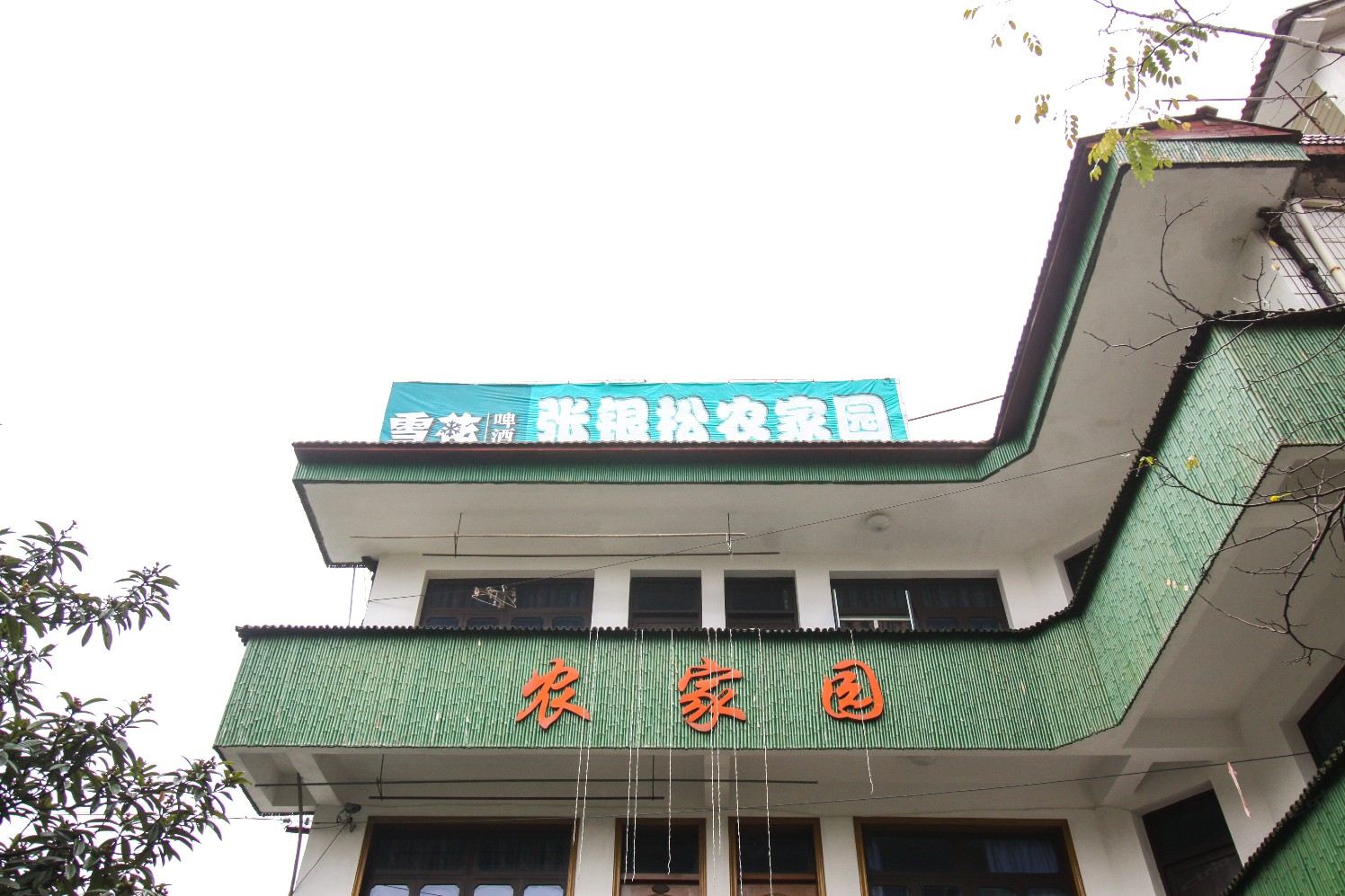 外观