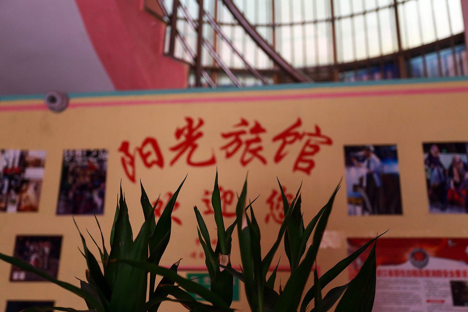 其他