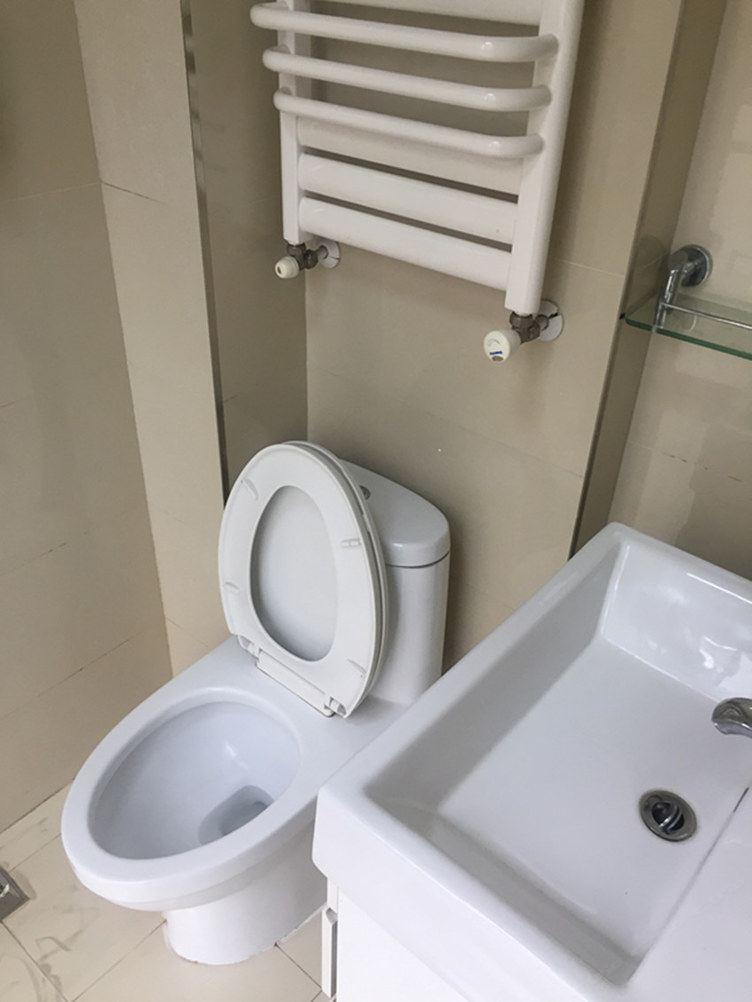 豪华双床间