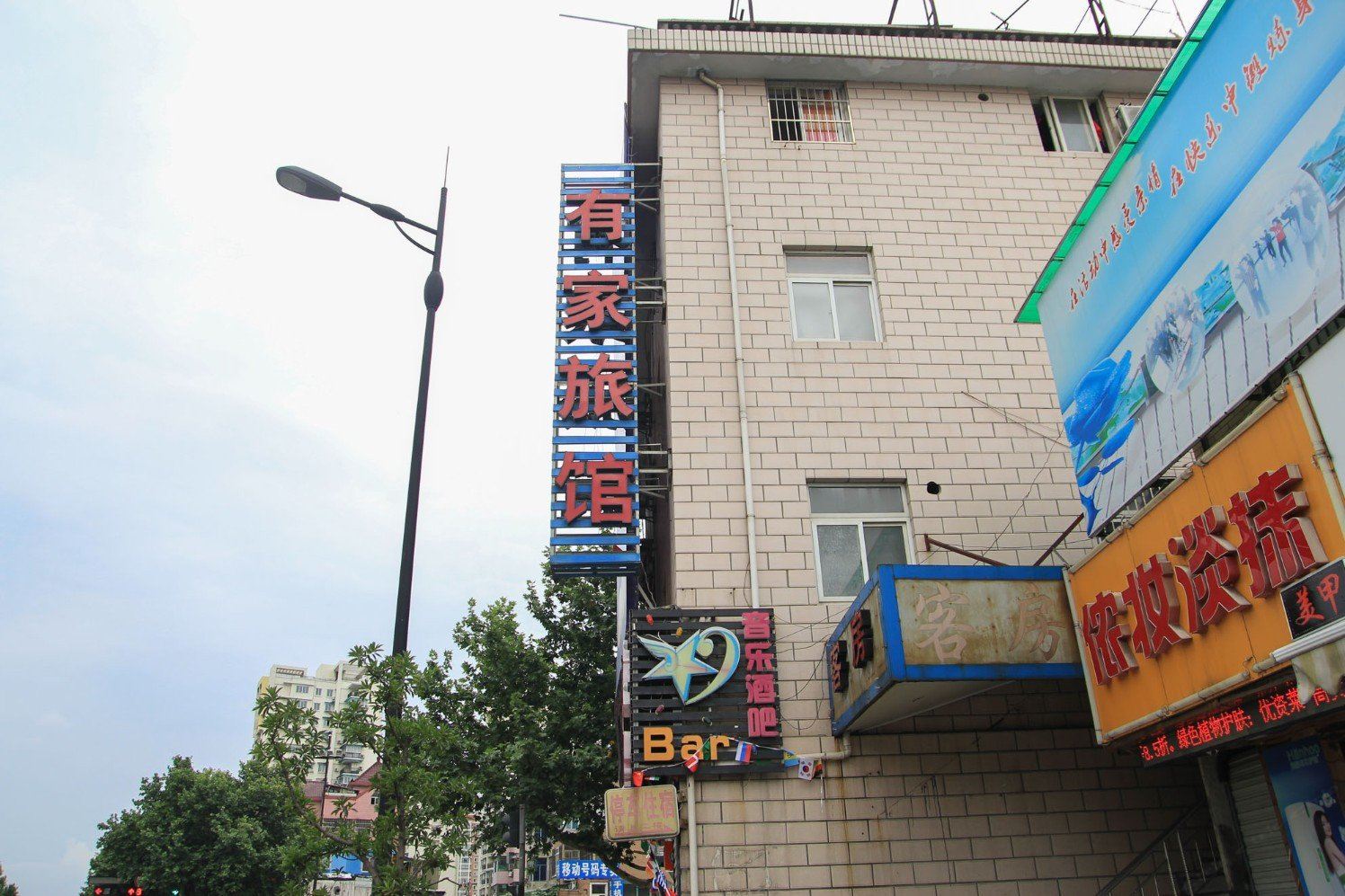 外观