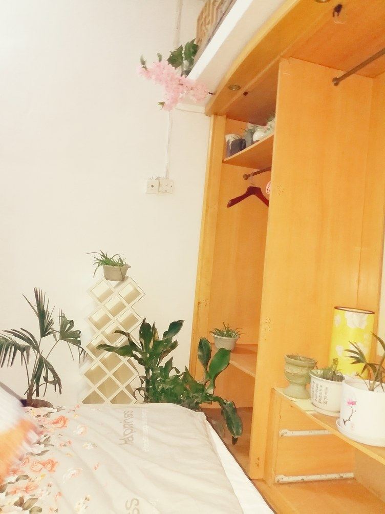 一室二床房