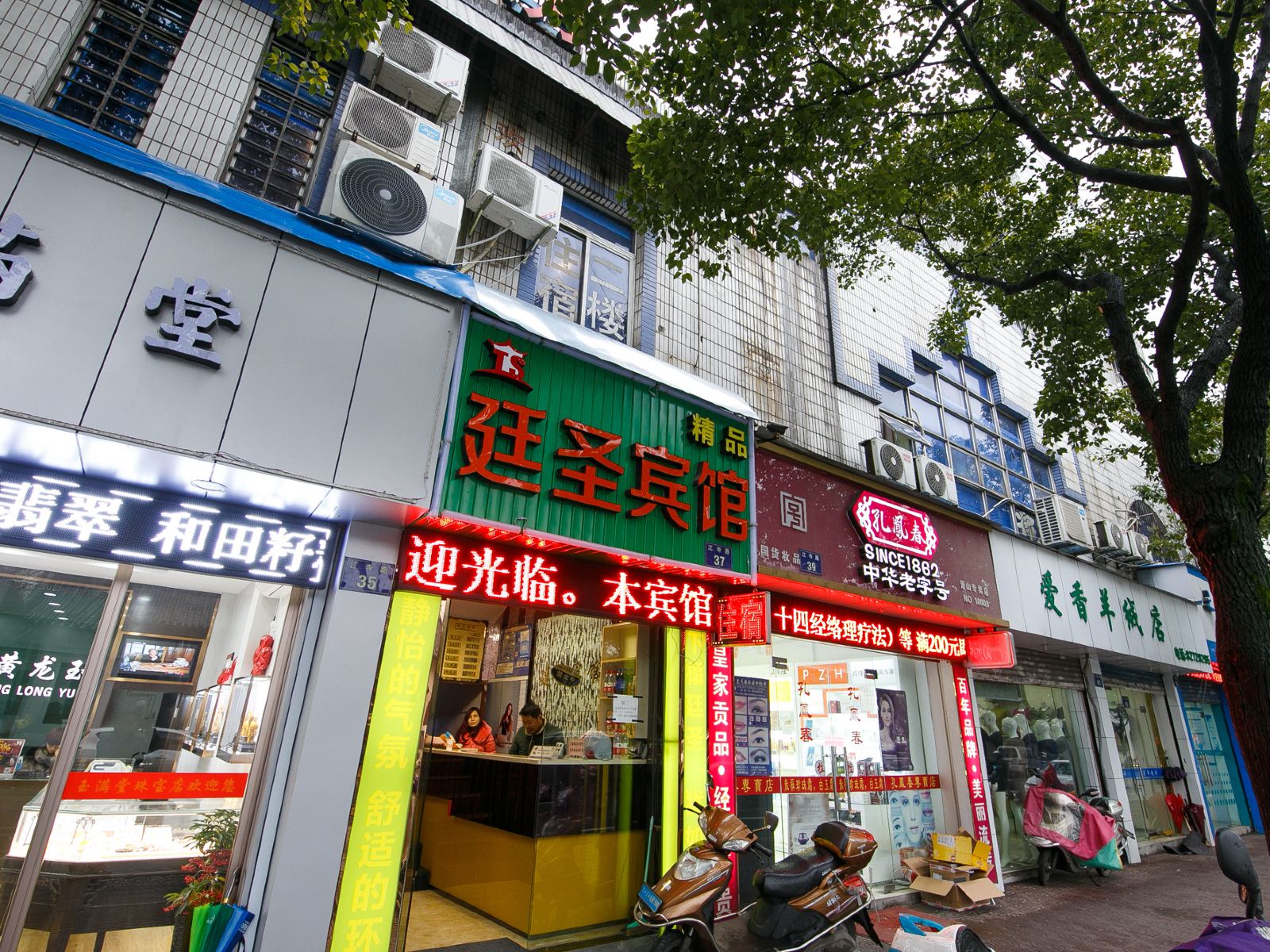 外观