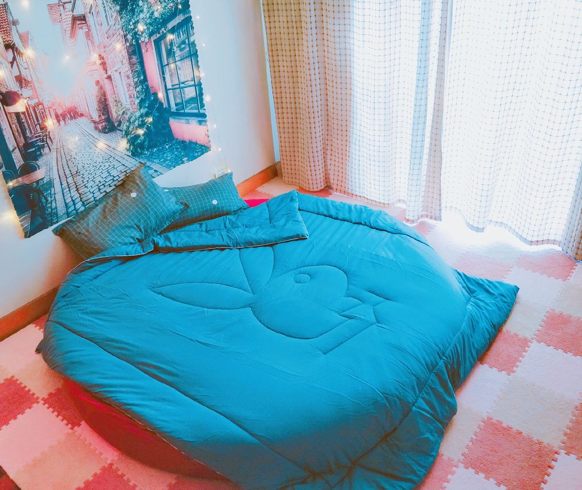 三室二厅套房