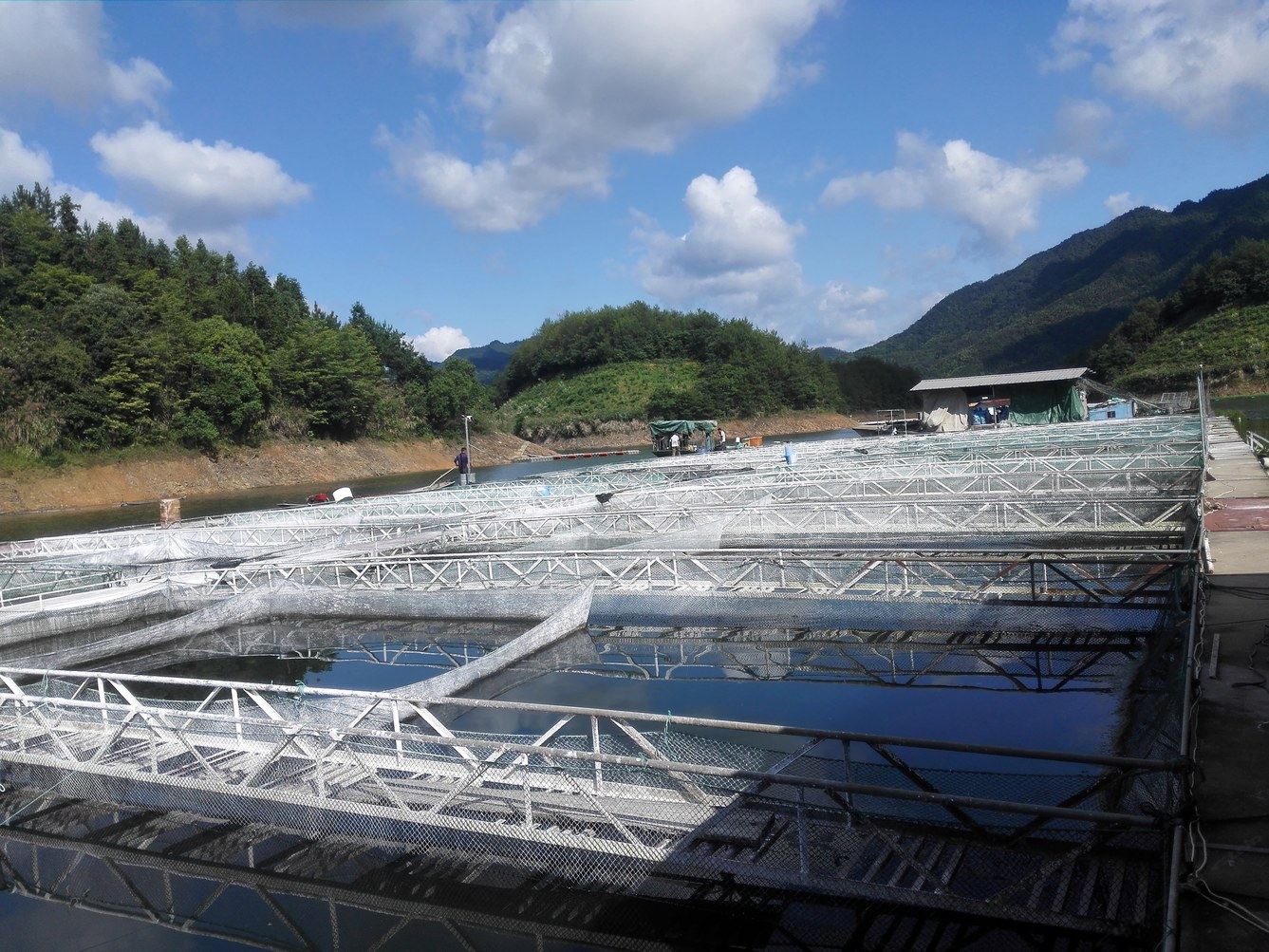 千岛湖悦来悦游民宿